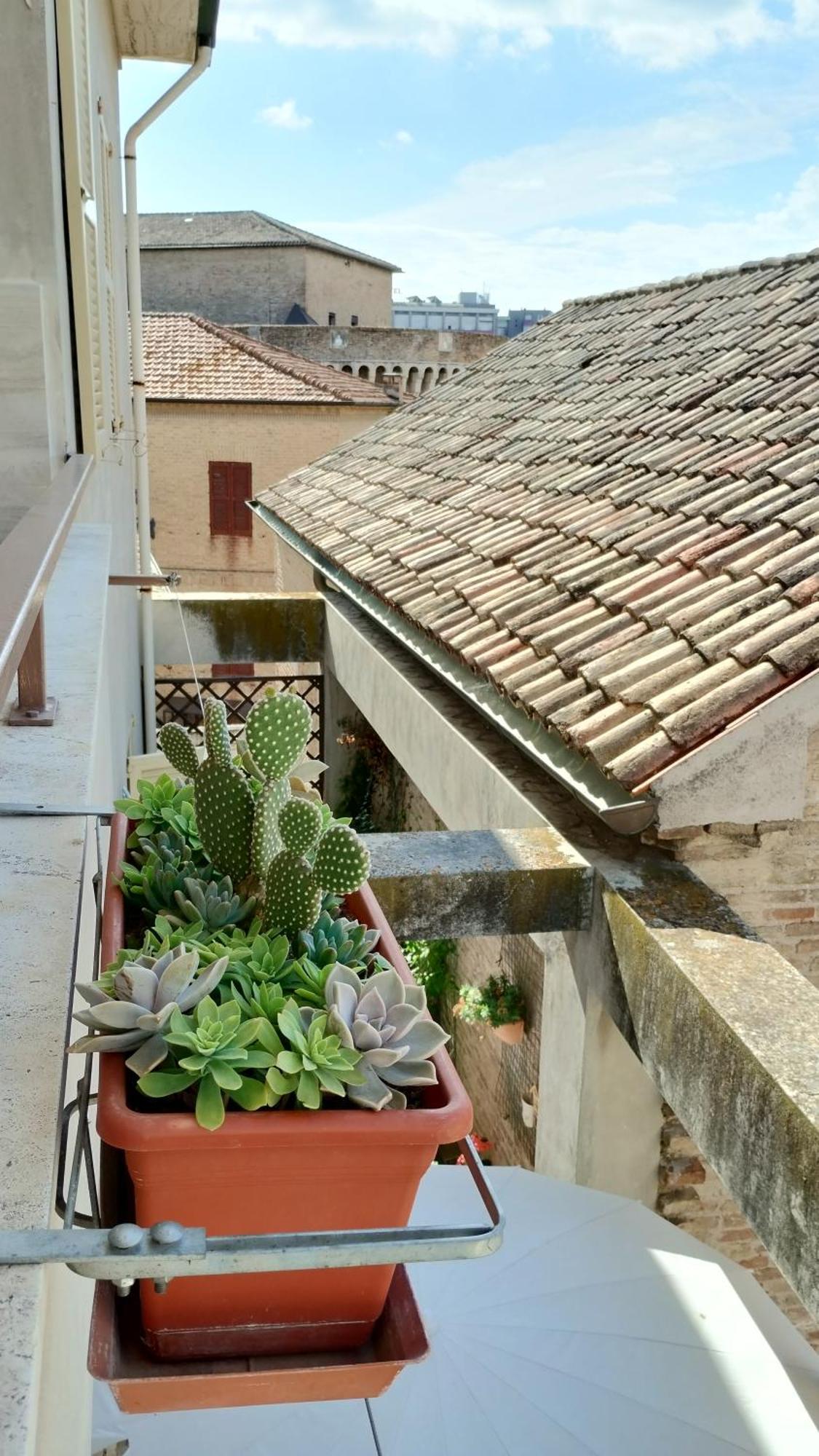 Palazzo Cavalletti - Appartamenti Nel Cuore Di Senigallia Eksteriør bilde
